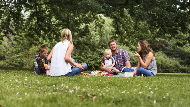 Picknick im Freien - grüne Wiesen, Wälder und eine Familie beim Essen