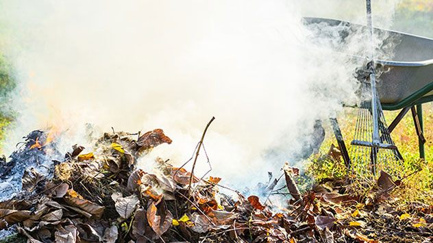 Auf keinen Fall sollte das Laub verbrannt werden, da Blätter aufgrund ihres hohen Wassergehaltes sehr viel Rauch und Gestank erzeugen. 