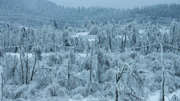 Ledena kiša može napraviti ogromne štete Gospić 2014. godine