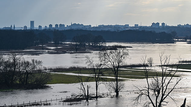 Das Hochwasser vom deutsch-polnischen Grenzfluss Oder überflutet die Wiesen.