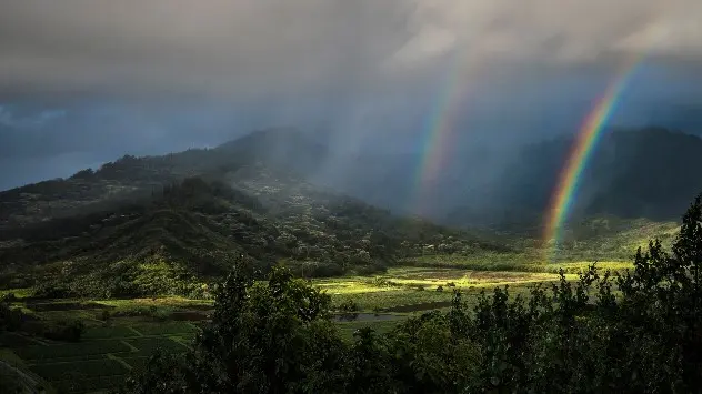 Rainbows