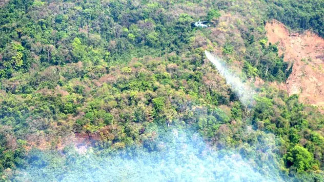 A major fire was reported at Mhadei Wildlife Sanctuary in Goa this week.