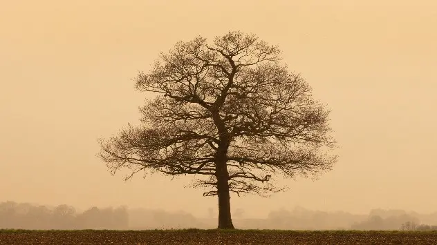 a cloudy day with Sahara dust in the air.