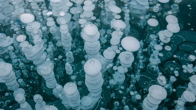 Detail of frozen bubbles in Abraham Lake, Canada.