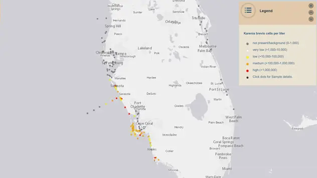 Recent 8 days of sampling. Red tide levels on Nov. 22, 2022.