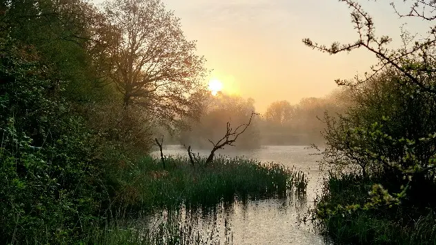 Misty lake at sunrise in Essex, England
