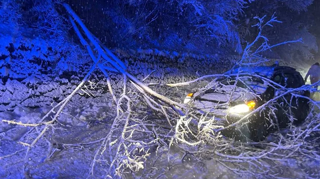 Un arbre est tombé sur une voiture près de Völkermarkt près de Klagenfurt. - © FF Haimbourg