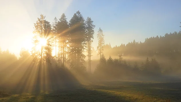 © Petra Köster Nebel Sonne goldener Oktober