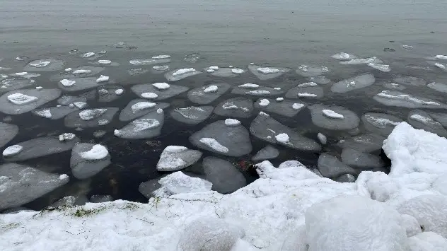 isflager i vandkanten