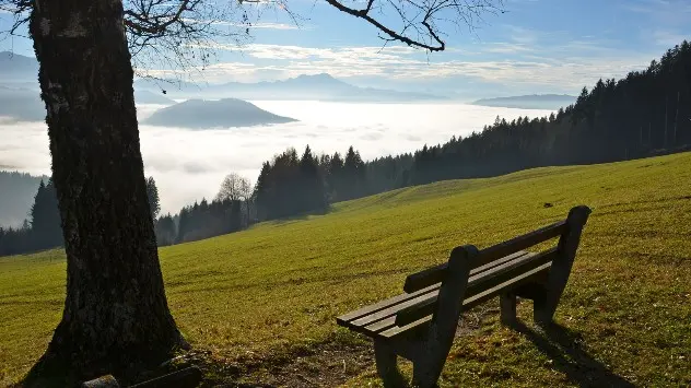 Eine Bank in der Sonne oberhalb vom Nebel im Tal.