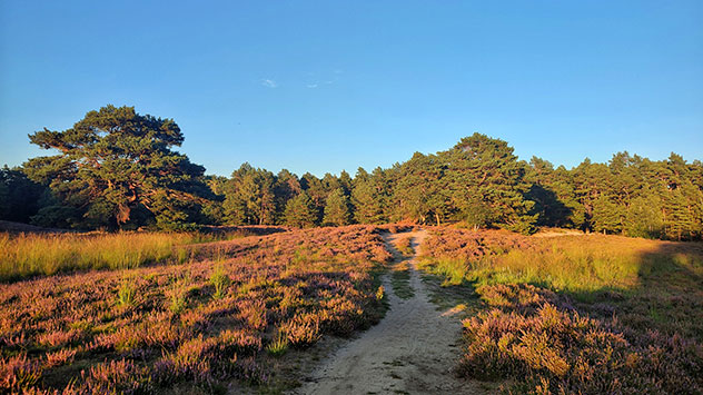 Rückblick September