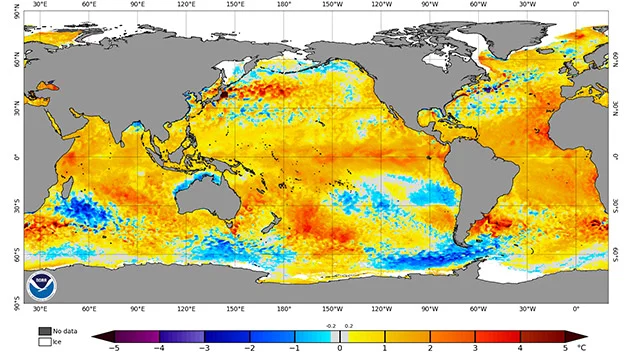 Nicht nur in großen Teilen des Pazifiks, sondern auch im Atlantik sind die oberflächennahen Temperaturen 1 bis 4 Grad höher als im Klimamittel.