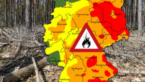Karte zeigt erhöhte Waldbrandgefahr im Osten und Südosten