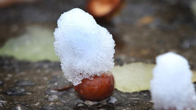 Typisches Phänomen bei frühen Schneefällen: Der Schnee bleibt noch nicht auf dem Boden liegen, da dessen Temperatur noch über dem Gefrierpunkt liegt.