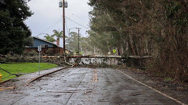 Baum blockiert eine Straße in Santa Cruz, Kalifornien