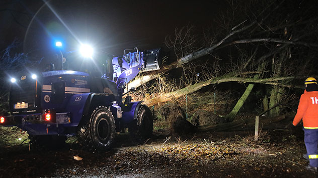 Ein Radlader des Technischen Hilfswerks (THW) räumt mit einem Radlader einen umgefallenen Baum von der Straße.