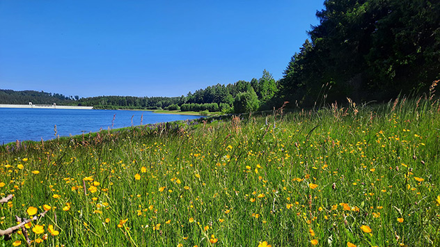 alsperre Lehnmühle