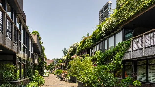 Fațade „verzi” la mai multe clădiri din Eindhoven, Țările de Jos.