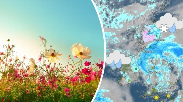 Spring flowers on left, weather map on right.