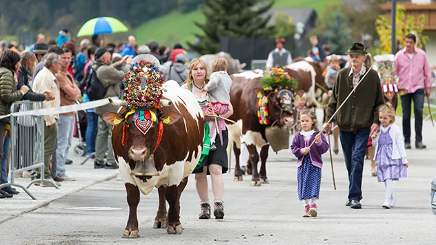Almabtrieb: Herbstliches Highlight in der Region - Bild: TG Gsiesertal / Elke Lessnig Der Almabtrieb ist ein Highlight in der Region
