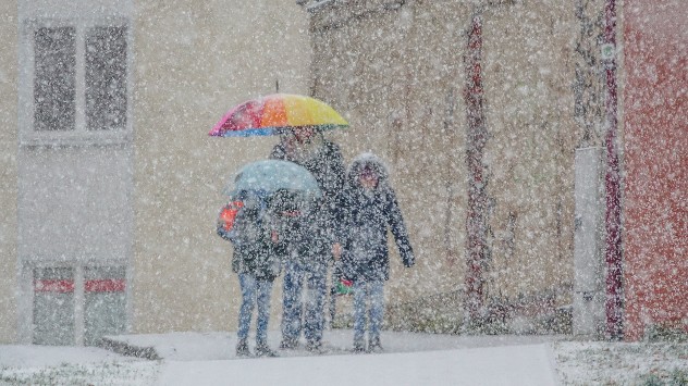 mennesker står i sne med paraplyer