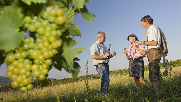 Weintasting in Baden bei Wien