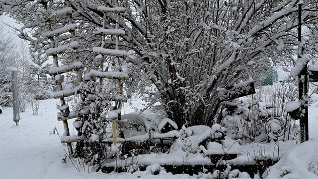 Viel Schnee in einem Garten in der Thüringer Rhön