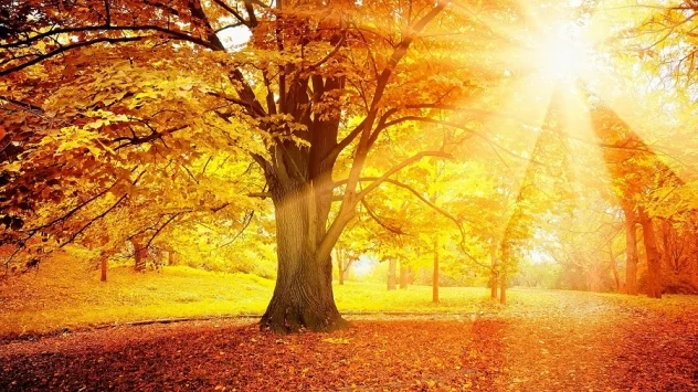 Autumn has arrived in the UK – but the season is not like it used