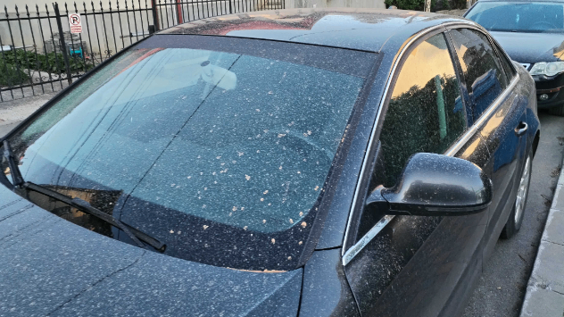 Efectele „ploilor murdare” de miercuri, 24 aprilie, vizibile pe o mașină din Iași.