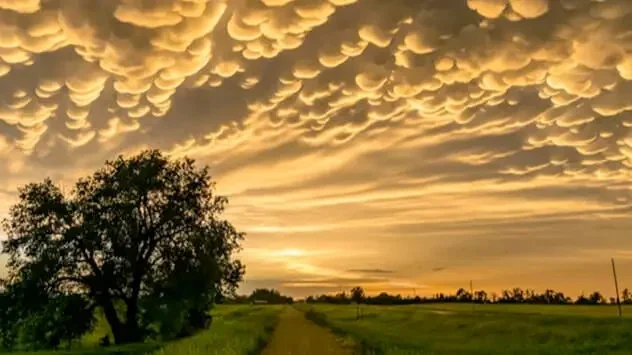 Bij een wegtrekkende onweersbui, vormen er zich zakvormige buidels aan de onderkant van de wolk. Dit type wolk wordt mammatus genoemd.