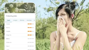 Frau reagiert auf Gräserpollen mit Niesen - Taschentuch / Pollenvorhersage für Köln