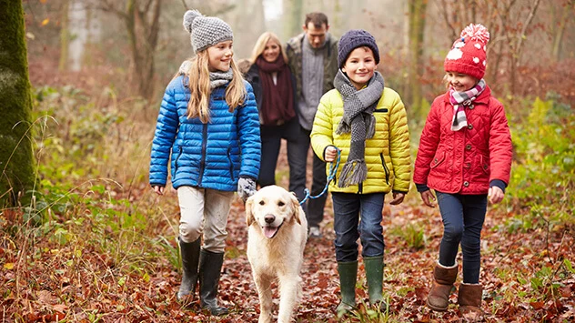 Familie mit einem Hunde wandert durch einen Wald