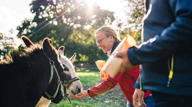Schlosserlebnistour im Schweriner Umland - Bild: TMV/Gross Esel füttern auf Schlossgut Wendorf