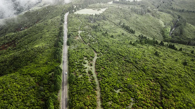 Blick auf den Wald auf Madeira im Winter