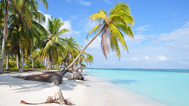 Strand mit Palmen in Panama