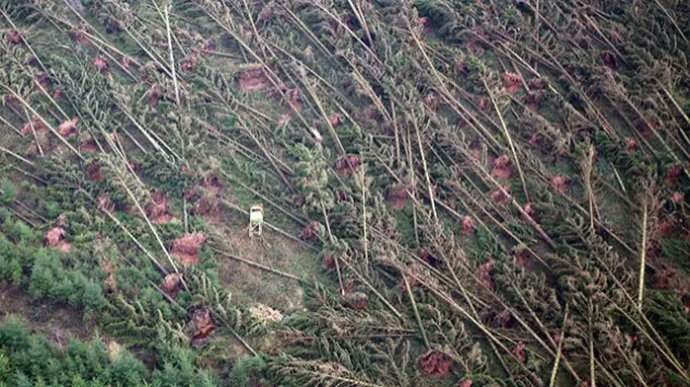Waldschäden durch Orkan Friederike