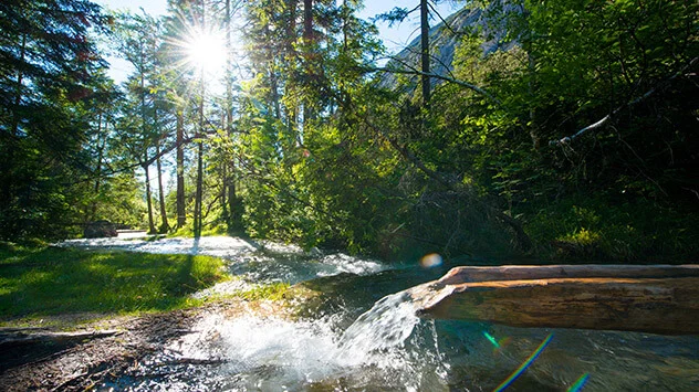 Isar als kleiner Bach nahe der Quelle 