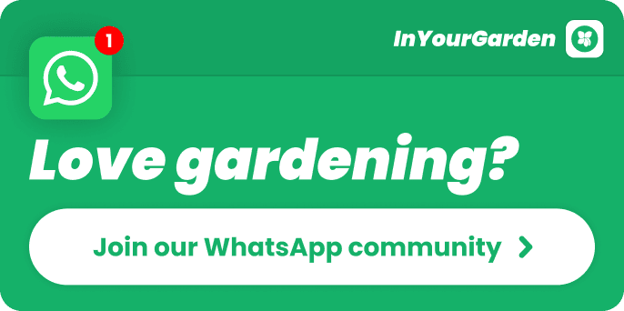 Love gardening? Join our WhatsApp community