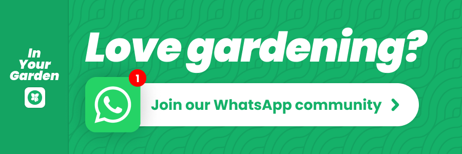 Love gardening? Join our WhatsApp community