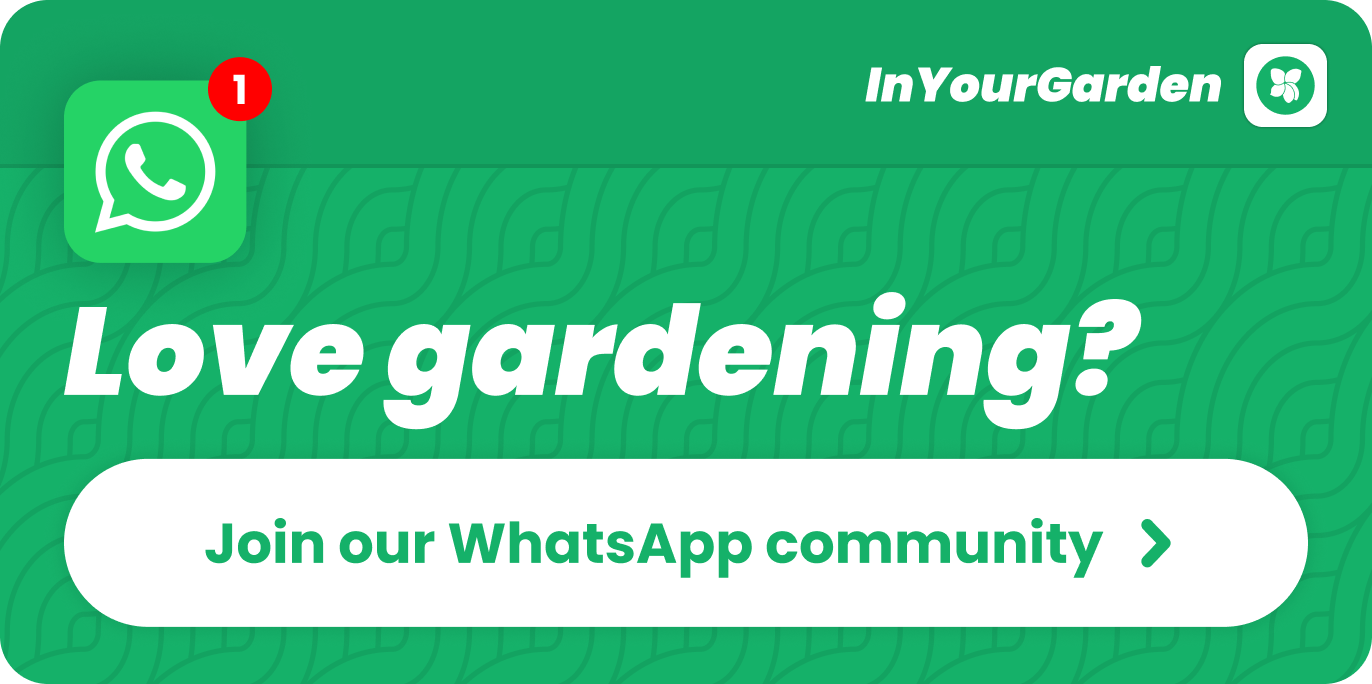 Love gardening? Join our WhatsApp community