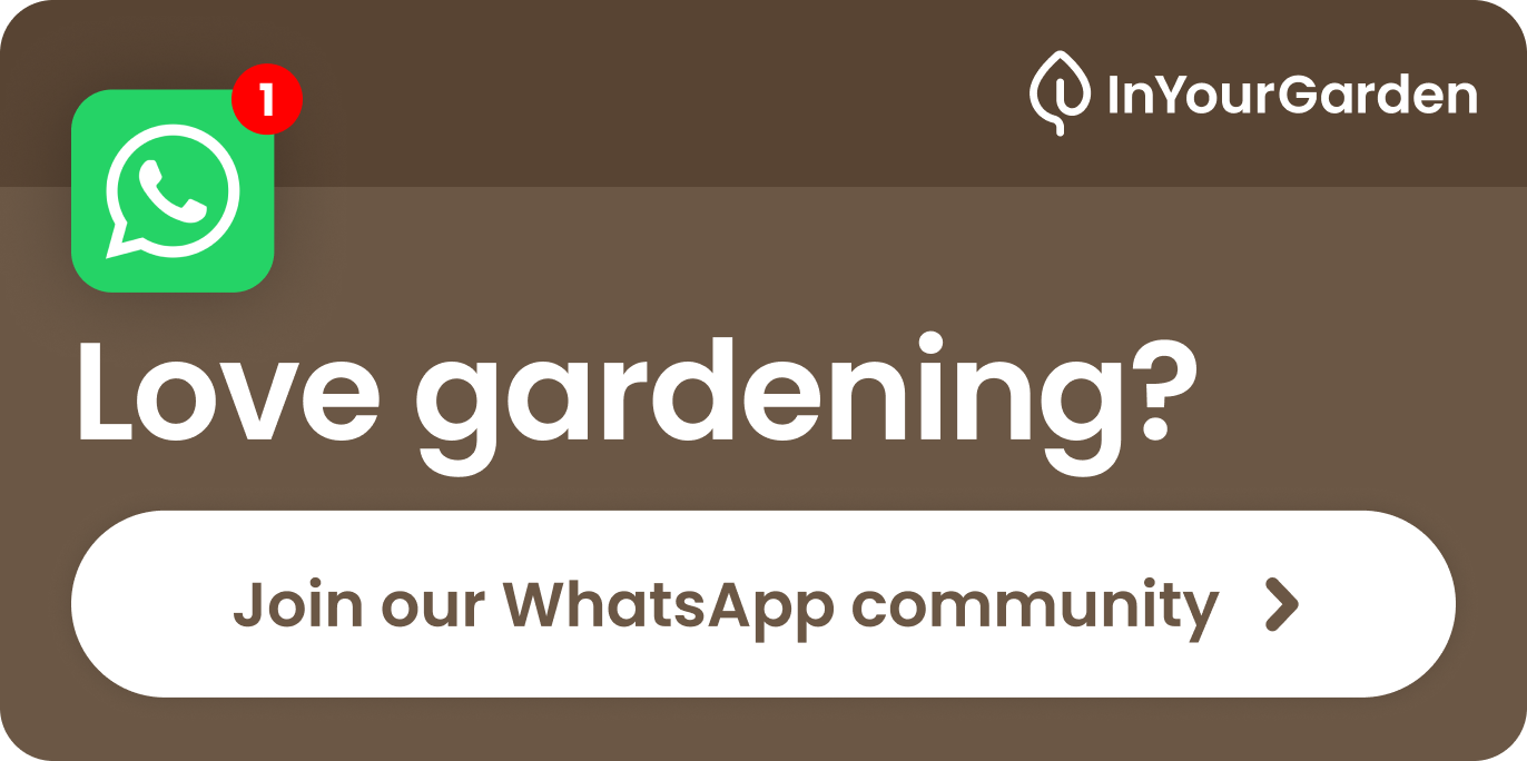 Love gardening? Join our WhatsApp community