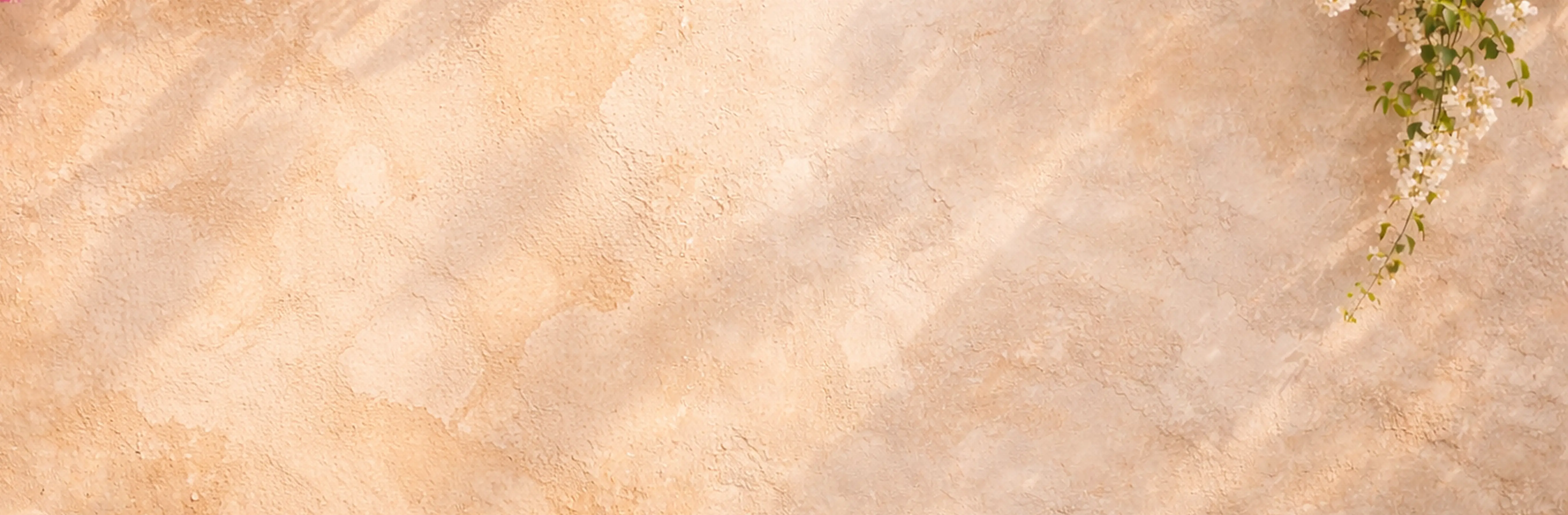 No Fees Background