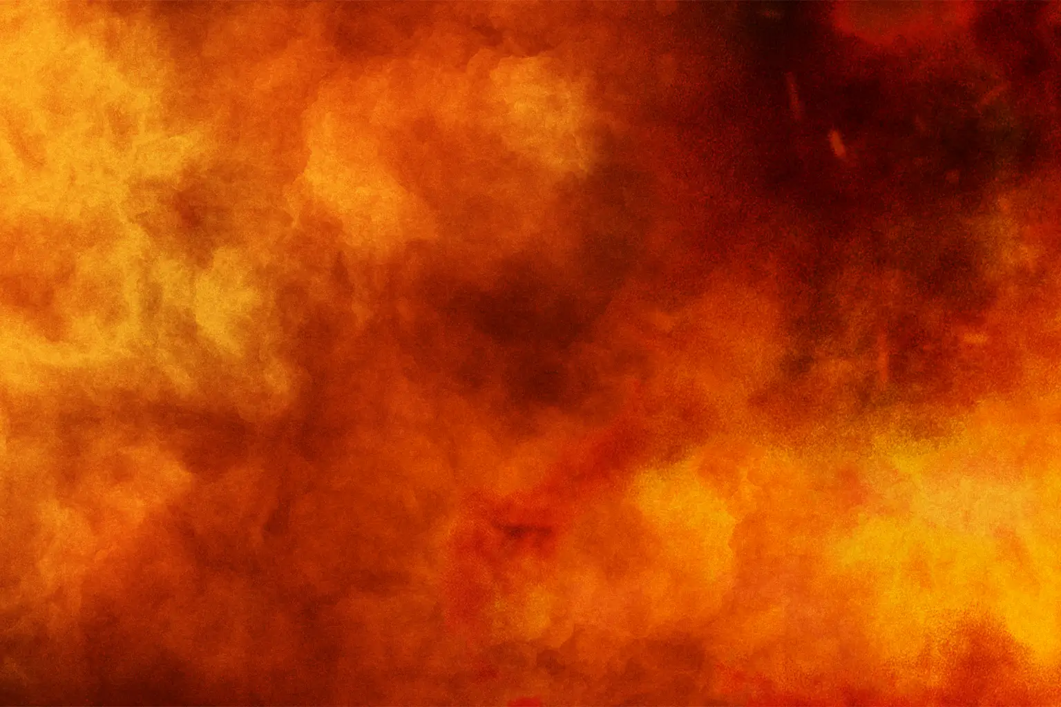 No Fees Background