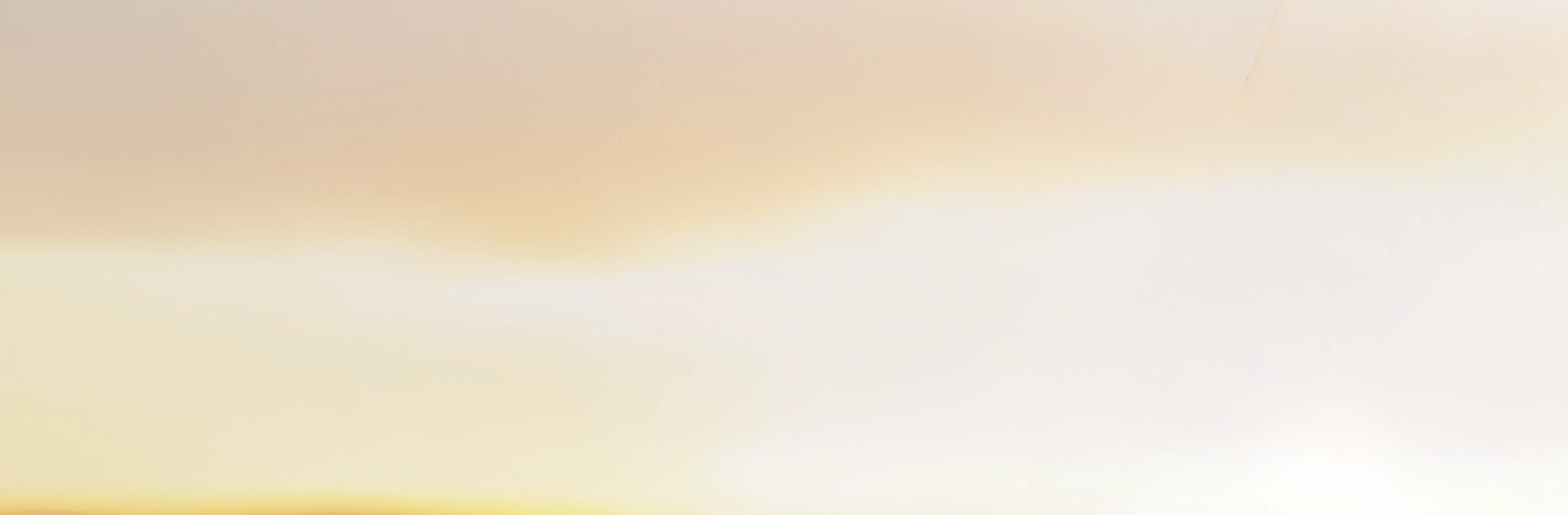 No Fees Background