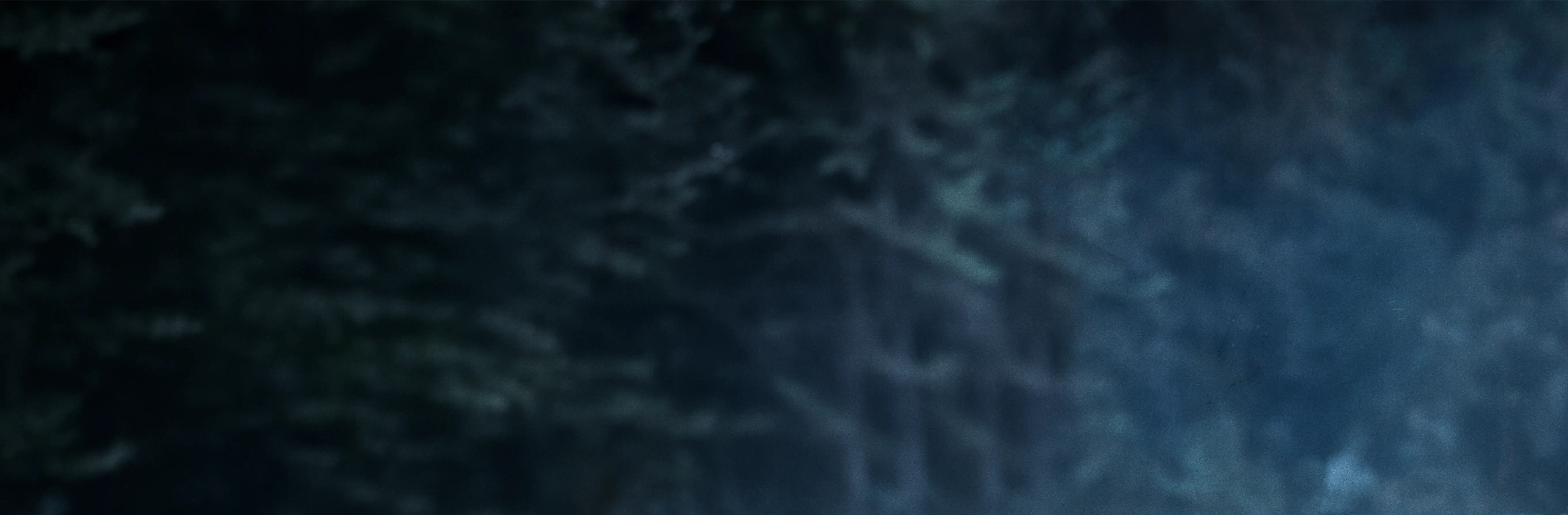 No Fees Background