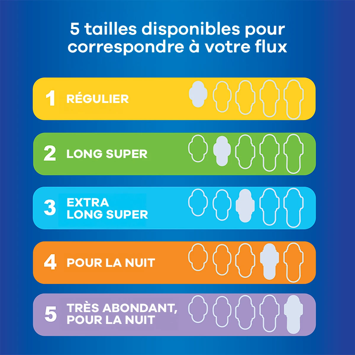 tableau des tailles
