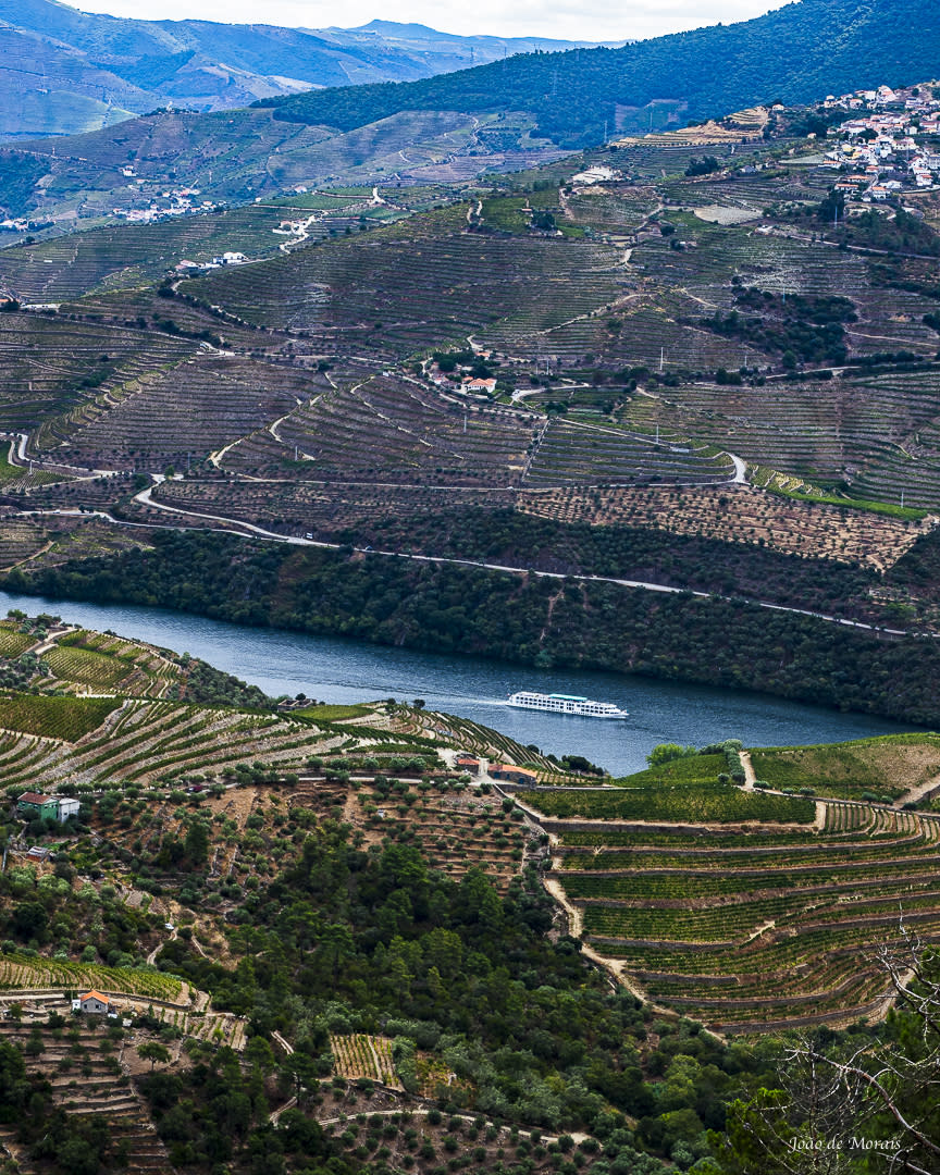 Douro Wine Terraces