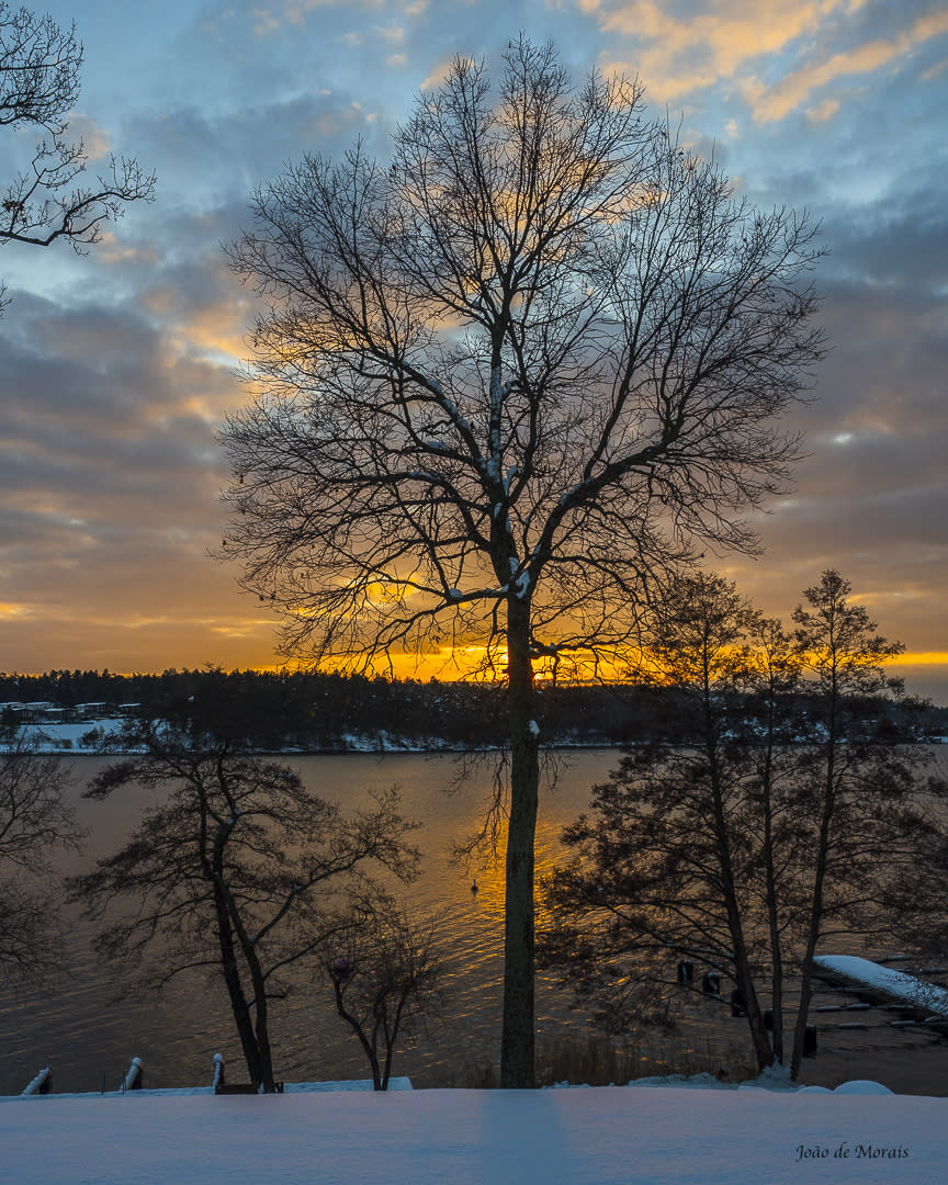 Winter Sunset