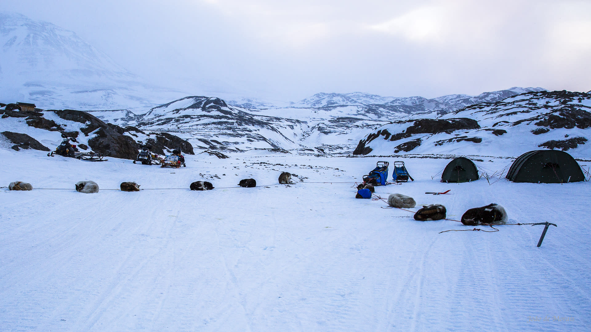 Polar Camping at 2:30 a.m.