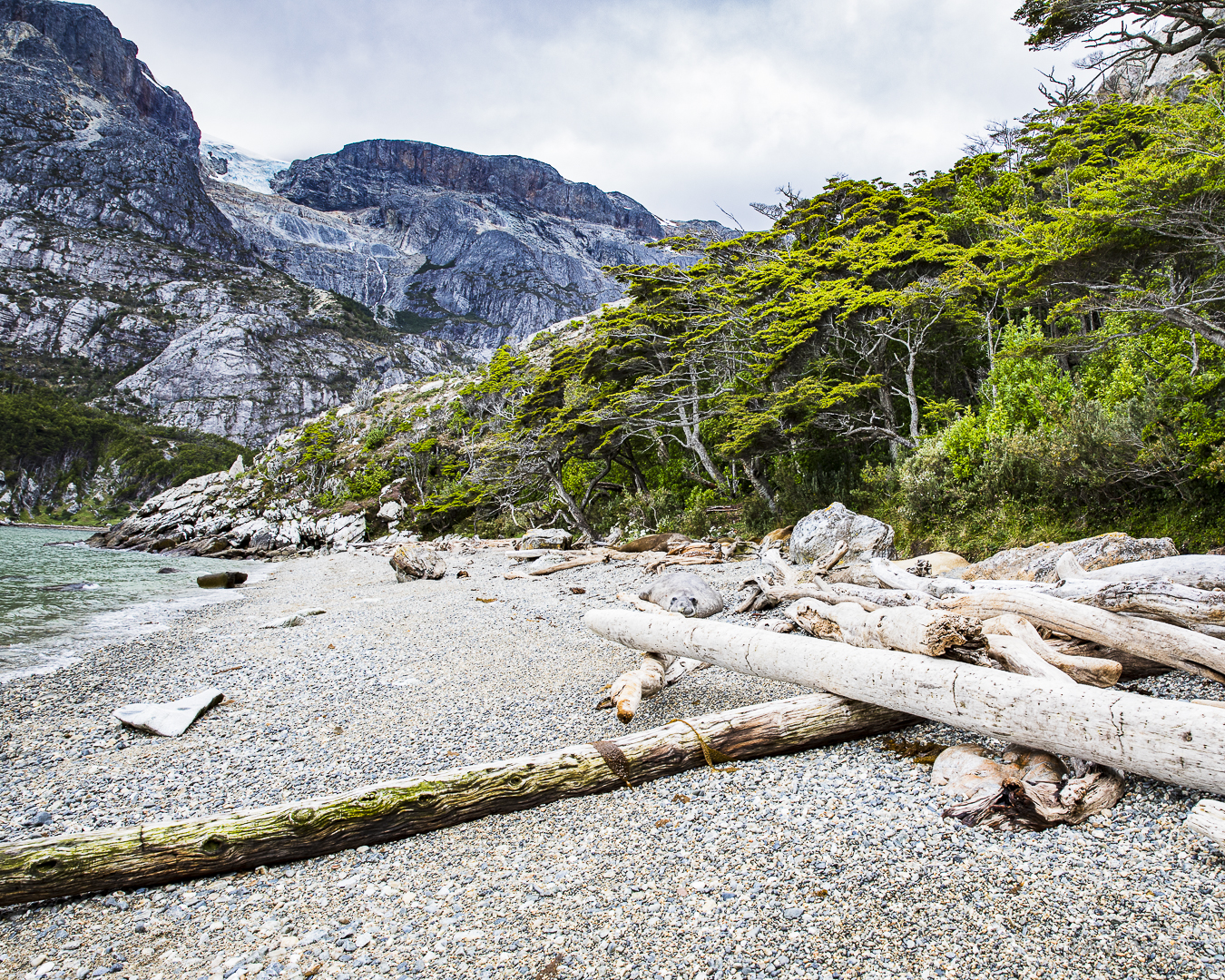 Typical coastal landscape at Tierra del Fuego